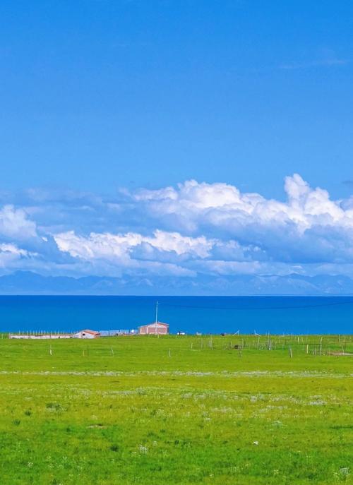 日本服务器站群